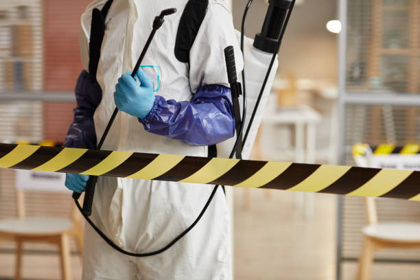 Professional Sewage Cleanup technician working in Scotia, NY